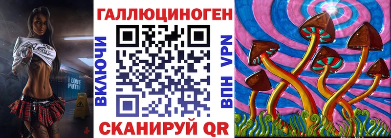 нарко площадка какой сайт  Покров  Галлюциногенные грибы Psilocybine cubensis 